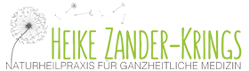 Zander-Krings Logo